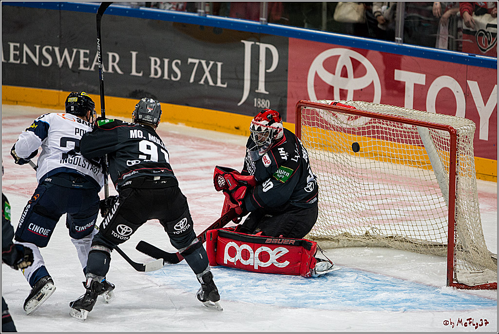Koelner Haie - ERC Ingolstadt, 23.10.2016